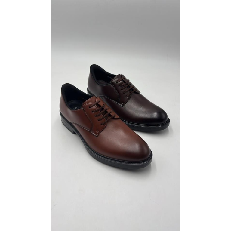 Zapato traje rogelio